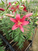 [5347 Gran Tourismo DJ No01.JPG]